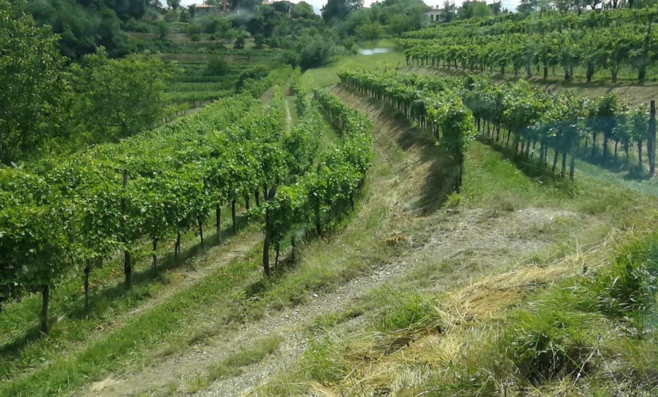 Branik Cebron Family Estate酒店 外观 照片