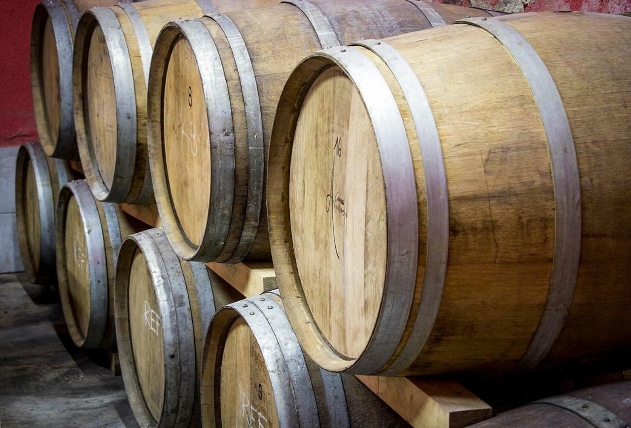 Branik Cebron Family Estate酒店 外观 照片