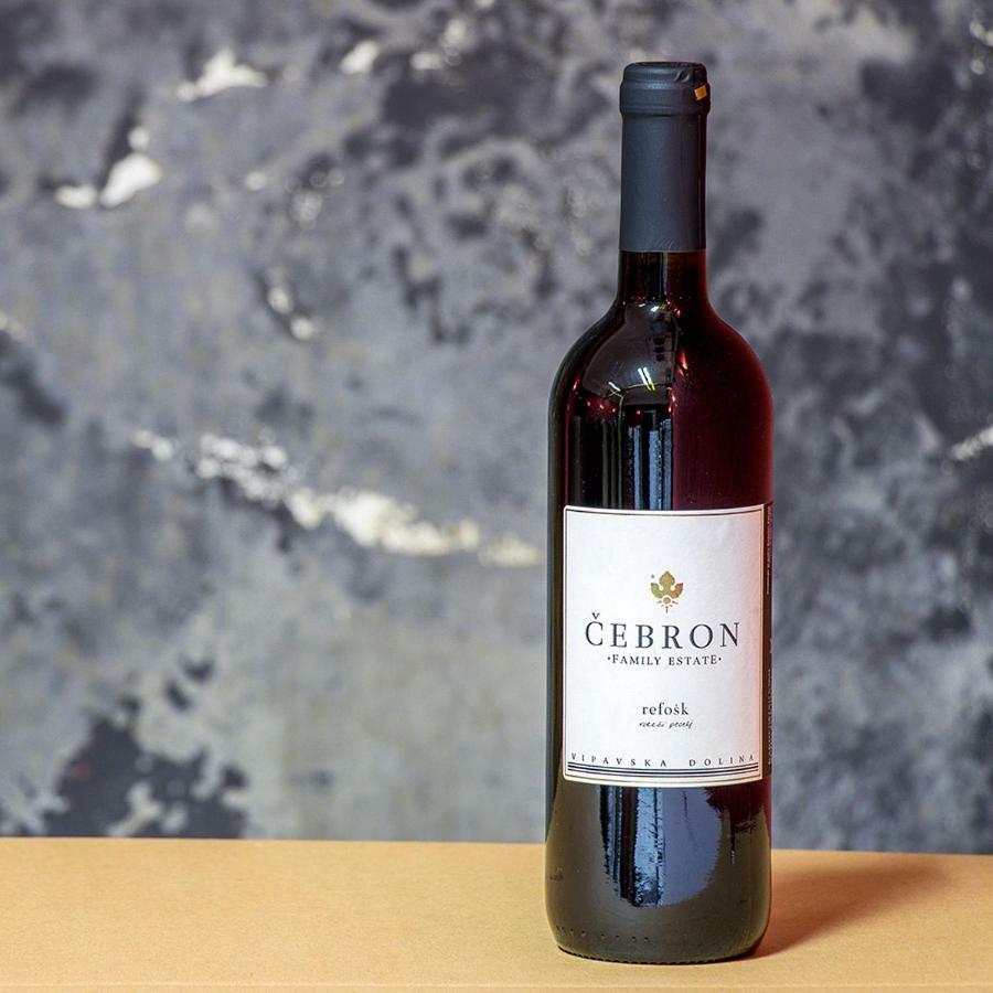 Branik Cebron Family Estate酒店 外观 照片